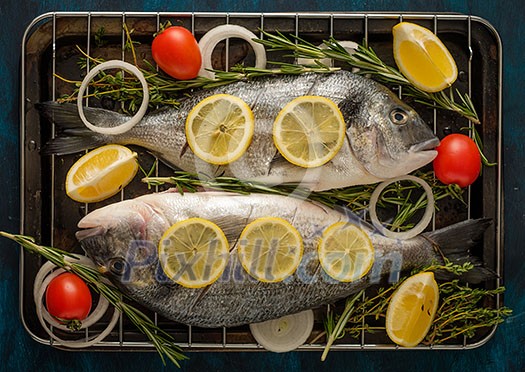 Fresh Raw Dorado with lemon, thyme, cherry and rosemary Fresh Raw Dorado with lemon, thyme, cherry and rosemary