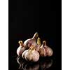 Fresh Garlic. Garlic bulbs on a black background.