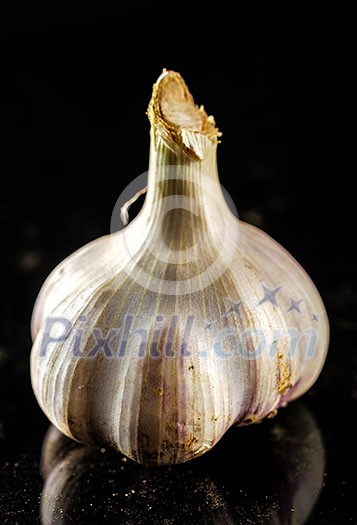 Closeup of Fresh Garlic on black background Closeup of Fresh Garlic on black background