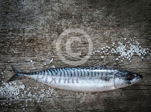 Fresh raw fish mackerel on a wooden table. Rustic style. Closeup. Fresh raw fish mackerel on a wooden table. Rustic style. Closeup.