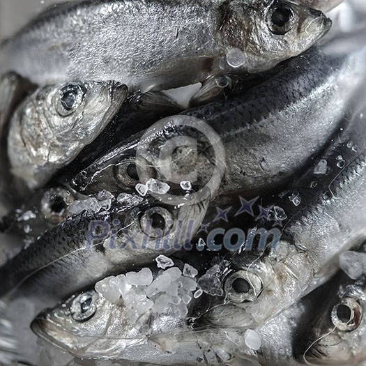 Closeup of Raw Baltic herring with salt. Closeup of Raw Baltic herring with salt.