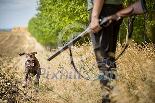 Autumn hunting season. Hunting. Outdoor sports. Woman hunter in the woods Autumn hunting season. Hunting. Outdoor sports. Woman hunter in the woods