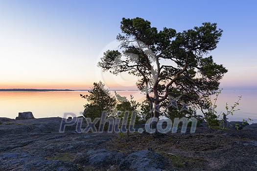 Cliffs in the Baltic Sea