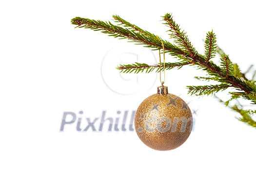 Christmas celebration holiday background with copyspace - Christmas-tree decoration bauble on decorated Christmas tree branch isolated on white background Christmas celebration holiday background with copyspace - Christmas-tree decoration bauble on decorated Christmas tree branch isolated on white background