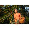 Pretty, young woman picking apricots lit by warm summer evening light (shallow DOF; color toned image)