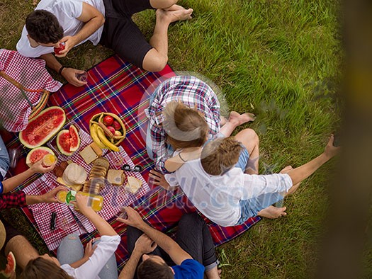 group of young friends enjoying picnic time drink and food in beautiful nature on the river bank top view group of young friends enjoying picnic time drink and food in beautiful nature on the river bank top view