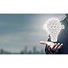 Businessman holding in hands successful idea concept