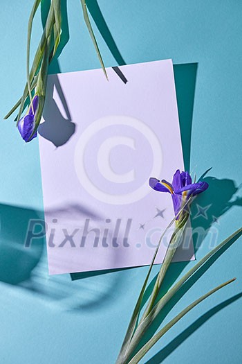 Two purple iris as a frame on a white sheet of paper with shadows from a glass on a blue background, flat lay Two purple iris as a frame on a white sheet of paper with shadows from a glass on a blue background, flat lay