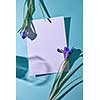 Two purple iris as a frame on a white sheet of paper with shadows from a glass on a blue background, flat lay