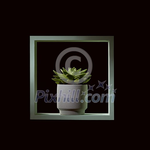 A green wooden frame with a plant of echeveria in a flowerpot on a black background. Interior decoration