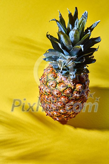 Exotic fruit of pineapple on a yellow background with a pattern from the shadows with copy space. Top view Exotic fruit of pineapple on a yellow background with a pattern from the shadows with copy space. Top view