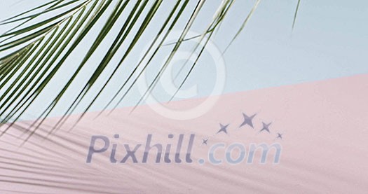 The green branch of an evergreen tropical palm tree with long leavest touches the tip of a duotone pink blue background. Slow motion of palm leaves. Full HD video, 240fps,1080p. Studio video shooting. The green branch of an evergreen tropical palm tree with long leavest touches the tip of a duotone pink blue background. Slow motion of palm leaves. Full HD video, 240fps,1080p. Studio video shooting.