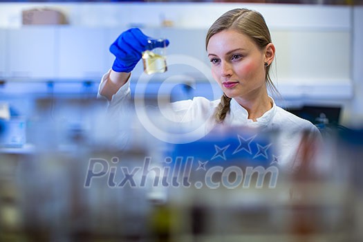 Portrait of a female researcher carrying out research in a chemistry lab (color toned image; shallow DOF) Portrait of a female researcher carrying out research in a chemistry lab (color toned image; shallow DOF)