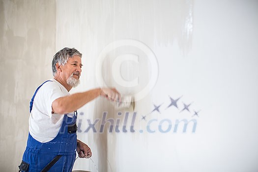Senior painter man at work with a paint bucket, wall painting concept