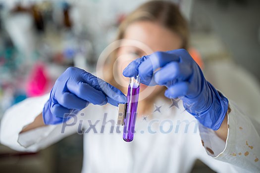 Female researcher carrying out scientific research in a lab (shallow DOF; color toned image) Female researcher carrying out scientific research in a lab (shallow DOF; color toned image)