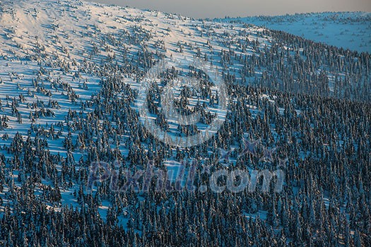 Winter mountain forest - alpine scenery with hills and trees covered with snow Winter mountain forest - alpine scenery with hills and trees covered with snow
