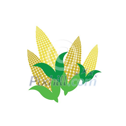 vector corn on the cob vector corn on the cob