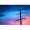 Birds on high voltage cables at sunset, blue sky on background