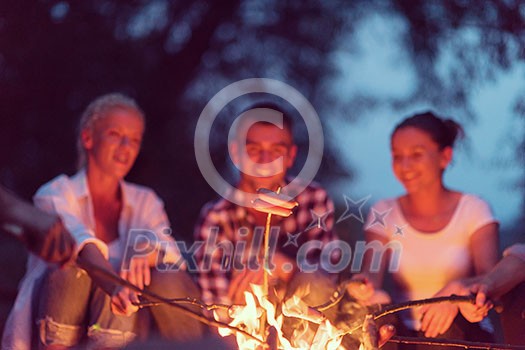 a group of happy young friends relaxing and enjoying summer evening around campfire on the river bank a group of happy young friends relaxing and enjoying summer evening around campfire on the river bank