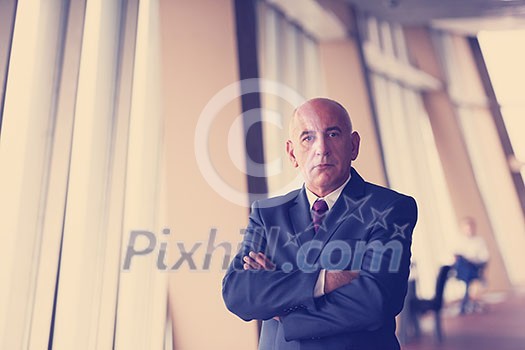 portrait of senior business man alone in modern corporate office indoors portrait of senior business man alone in modern corporate office indoors