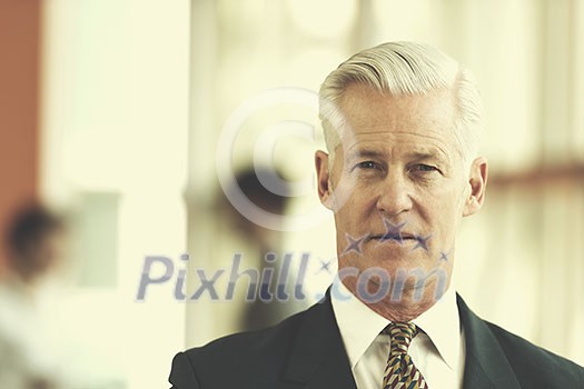 portrait of handsome senior business man with grey hait at modern bright office interior portrait of handsome senior business man with grey hait at modern bright office interior