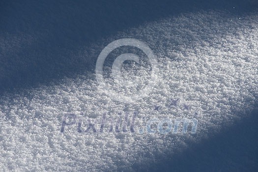 winter landscape in forest at sunset with fresh snow and clear blue sky winter landscape in forest at sunset with fresh snow and clear blue sky