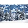 Mountain chalet in winter