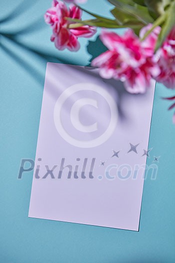 White copy space decorated with delicate pink flowers with reflection of shadows on a blue paper background. Postcards of the mother's day White copy space decorated with delicate pink flowers with reflection of shadows on a blue paper background. Postcards of the mother's day