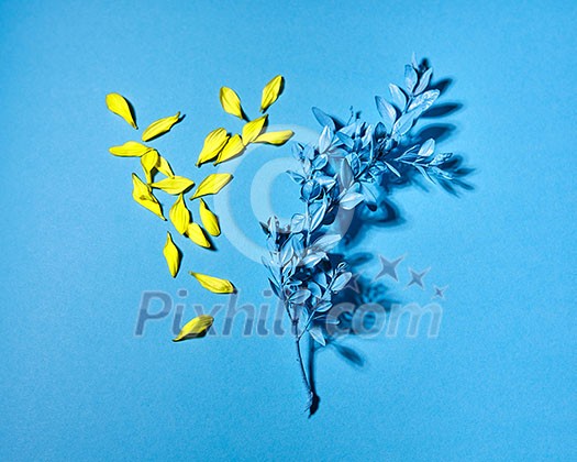 Floral composition with little yellow flowers petals and painted blue branch on a blue background witn place for text. Flat lay. Floral composition with little yellow flowers petals and painted blue branch on a blue background witn place for text. Flat lay.