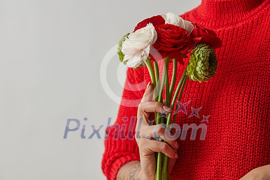 Red, green, white flowers of the Ranunculus. Girl holding a tender bouquet in the hands on a gray background with copy space. Mothers Day Red, green, white flowers of the Ranunculus. Girl holding a tender bouquet in the hands on a gray background with copy space. Mothers Day