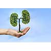 Close up of hand holding green tree concept
