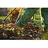 Gardening - man digging the garden soil with a spud (shallow DOF; selective focus)