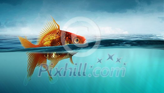 Gold fish in clear blue water. Mixed media Gold fish in clear blue water. Mixed media