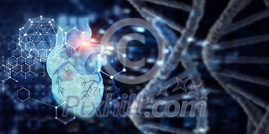 Anatomic heart model and digital technologies background Anatomic heart model and digital technologies background