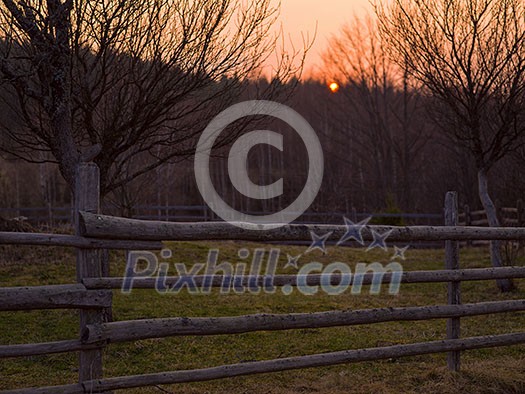 Forest landscape in spring sunset with filter in hipster vintage retro style