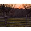 Forest landscape in spring sunset with filter in hipster vintage retro style