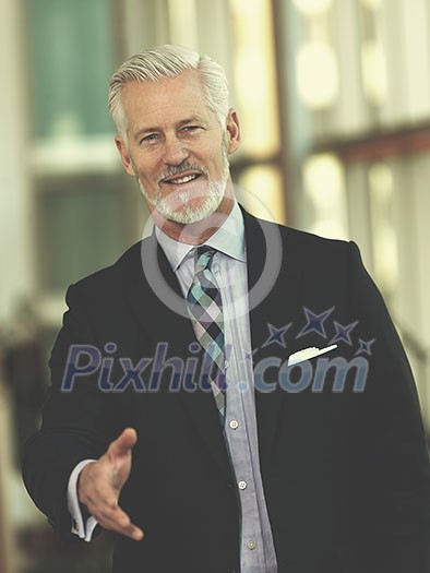business partners, partnership concept with two businessman handshake business partners, partnership concept with two businessman handshake