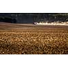 Tractor plowing a dry farm field