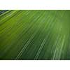 Farmland from above - aerial image of a lush green filed