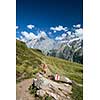 Pretty, female hiker/climber in a lovely alpine setting of Swiss Alps
