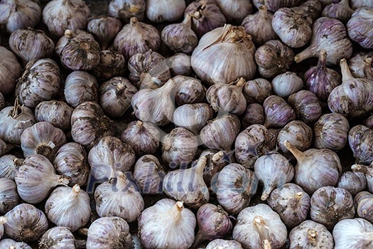 Fresh garlic close up. Garlic texture and pattern. Fresh garlic close up. Garlic texture and pattern.
