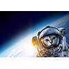 Astronaut cat wearing space suit. Elements of this image are furnished by NASA