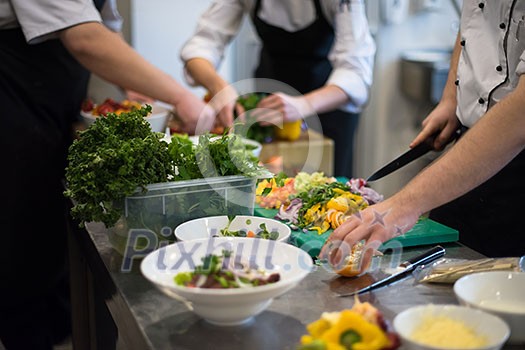 Professional team cooks and chefs preparing meals at busy hotel or restaurant kitchen Professional team cooks and chefs preparing meals at busy hotel or restaurant kitchen
