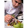 cook chef decorating garnishing prepared meal dish on the plate in restaurant commercial kitchen