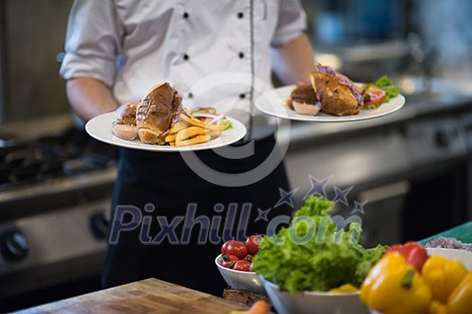 young Chef presenting dishes of tasty meals in commercial kitchen young Chef presenting dishes of tasty meals in commercial kitchen