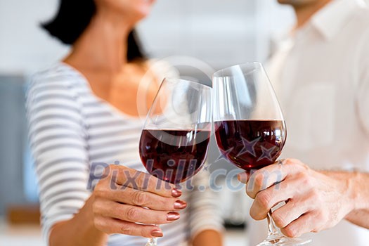 Portrait of a couple having a glass of red wine at home Portrait of a couple having a glass of red wine at home
