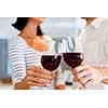 Portrait of a couple having a glass of red wine at home