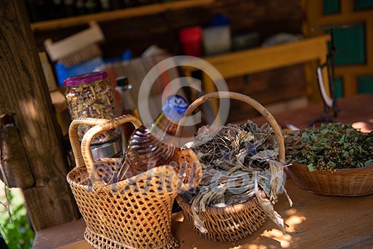 tincture or potion bottle in hand of herbalist bunch of dry healthy herbs in background alternative medicine tincture or potion bottle in hand of herbalist bunch of dry healthy herbs in background alternative medicine