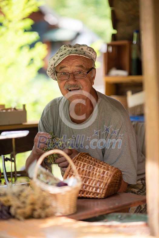 senior man gardener herbalist picking gathering fresh herbs for alternative medicine tea and poutting on balance senior man gardener herbalist picking gathering fresh herbs for alternative medicine tea and poutting on balance