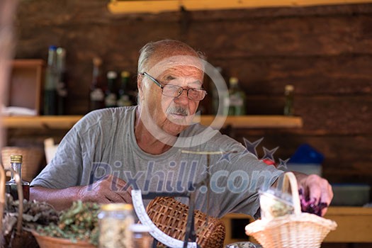 senior man gardener herbalist picking gathering fresh herbs for alternative medicine tea and poutting on balance senior man gardener herbalist picking gathering fresh herbs for alternative medicine tea and poutting on balance